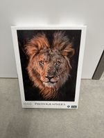 Puzzle 1000 Teile Photographer's Collection Löwe neu