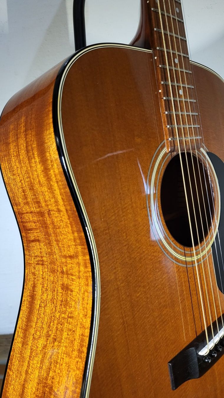 Strumenti musicali: Western Gitarre Morris WT-19 – Usato da Winterthur venduto da NorrSydGuitars 7
