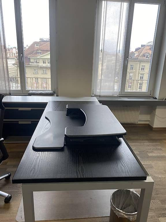 Scrivanie: Varidesk Pro Plus 36 – Usato da Bern venduto da annfrick01 1