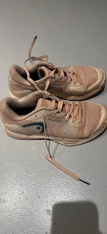 Scarpe da uomo: Head Tennis Schuhe Größe 38.5 – Usato da Liebefeld venduto da lisi0101