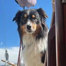Profile image of lilou9124
