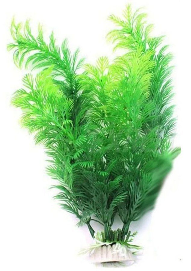 Aquarium: Plante d'aquarium - Vert - 30cm – Neu und originalverpackt aus Corcelles-près-Payerne von dag_7pn2 1