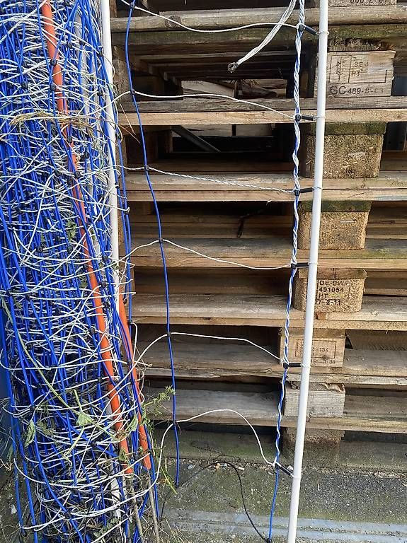 Altre attrezzature per stalle: Weidezaun mit oder ohne Strom – Usato da Bottmingen venduto da Bordsteinkante 1