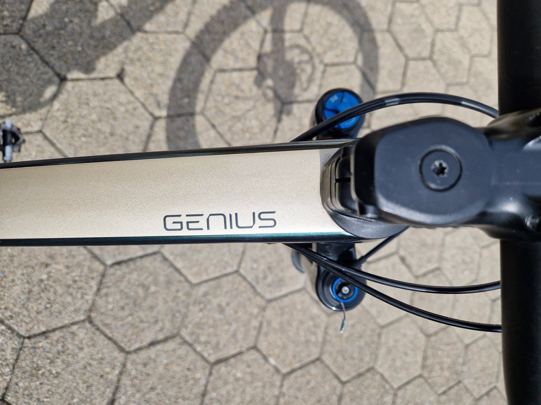 Scott Biciclette: SCOTT Genius 910 – Usato da Hochdorf venduto da Tlutrh1 2