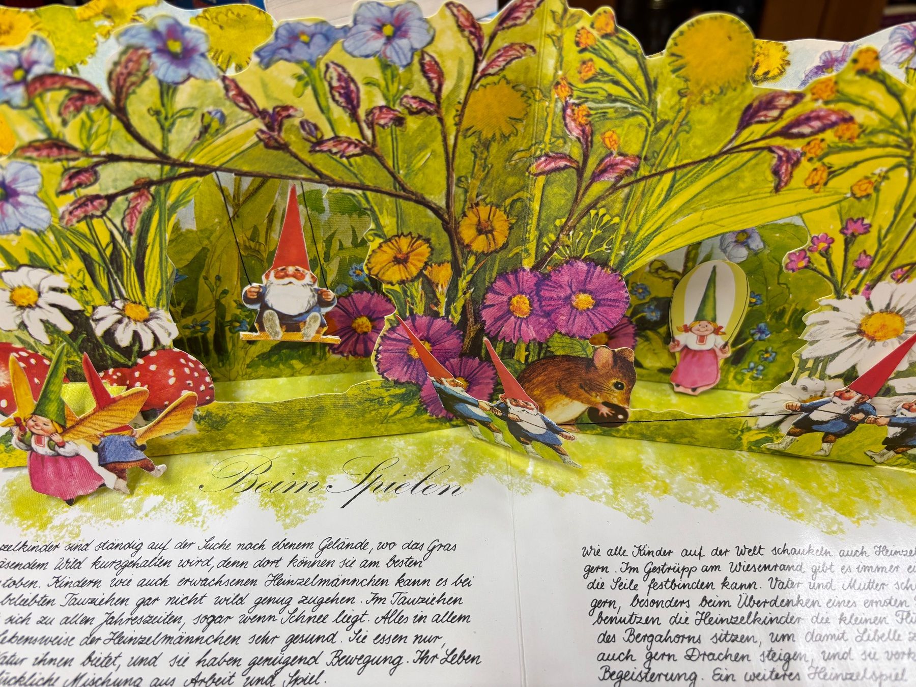 Libri: Rien Poortvliet Bilderbuch Heinzelmännchen – Usato da Seftigen venduto da Muggelwomb 6