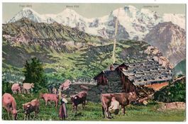 Eiger, Mönch, Jungfrau von einer Alp aus, um 1920