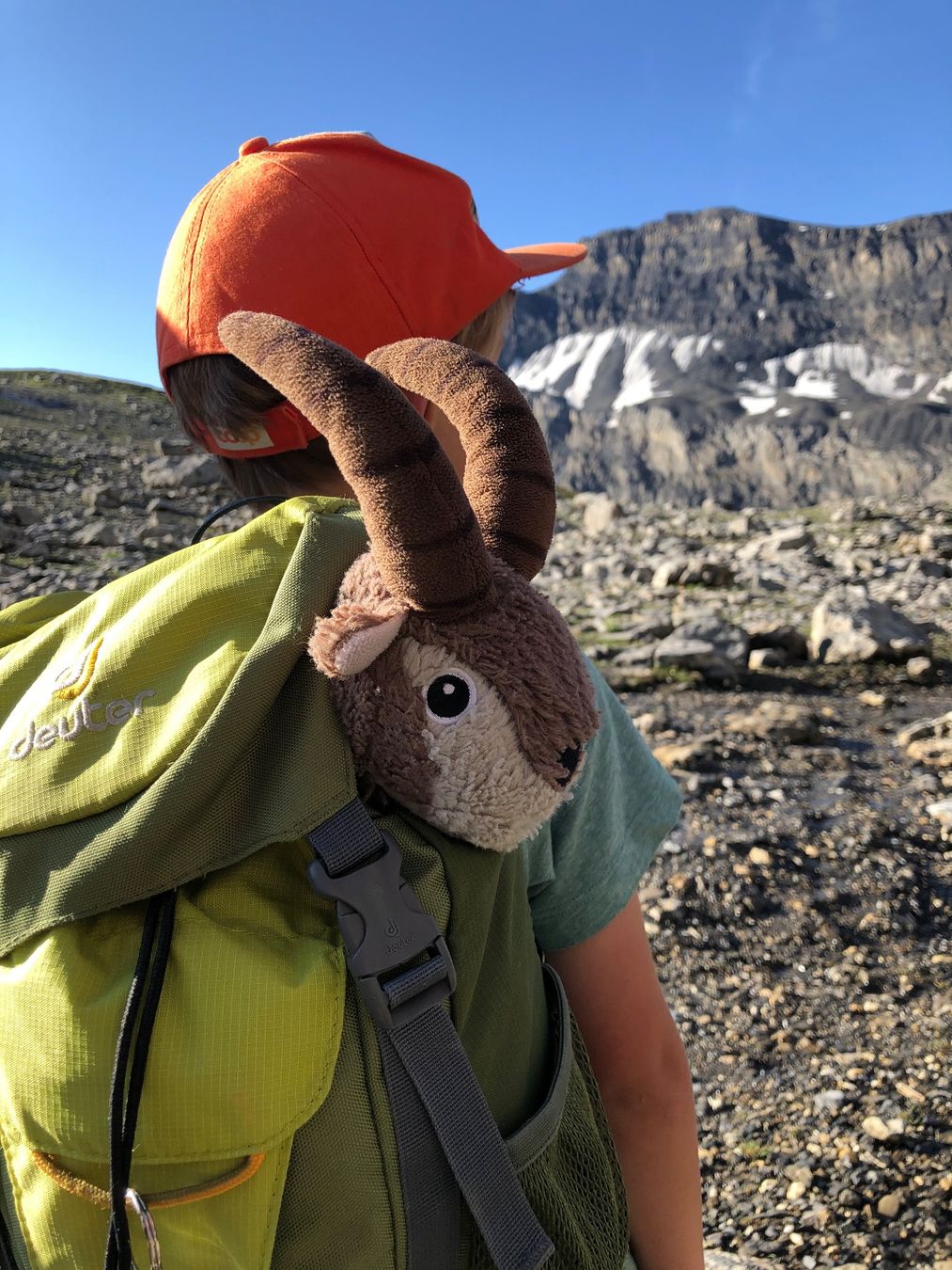 Deuter Borse & Zaini: Deuter Rucksack "Waldfuchs" - den mag sogar der Steinbock!! – Usato da Schwarzenburg venduto da Murjek