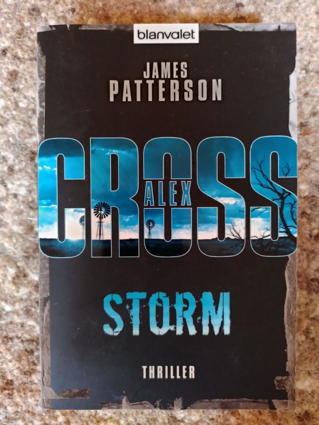 Livres: Cross Storm - James Patterson – D'occasion à Biel/Bienne par Linanius