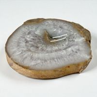 Vide poche sculpté dans une tranche d'agate naturelle