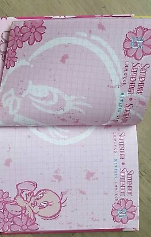 Bücher: NEU Schulagenda Tweety Mädchen – Neu und originalverpackt aus Uster von Mooreas 2