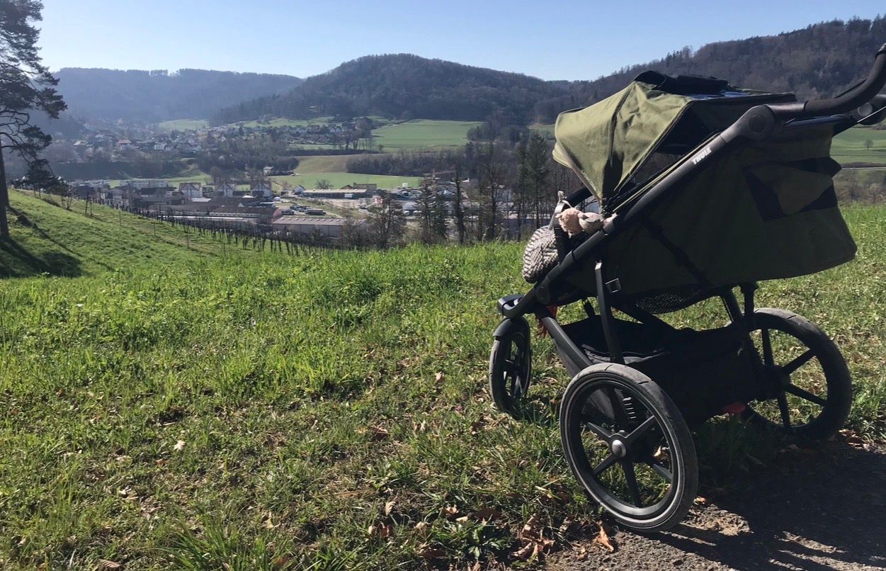 Thule Kinderwagen: Thule Kinderwagen – Gebraucht aus Pfungen von cio_cj95 1