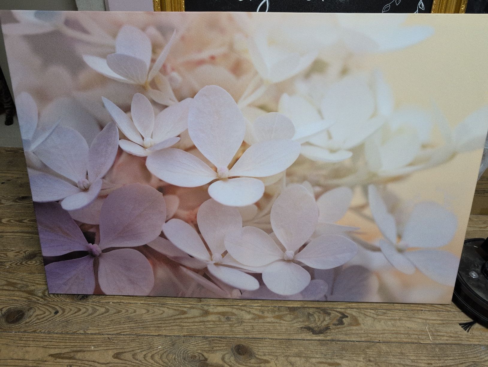 Poster & Bilder: Leinwandbild Blumen  – Gebraucht aus Huttwil von Schnuegu13