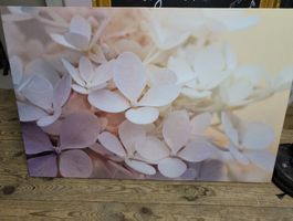 Leinwandbild Blumen 