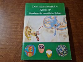 Der menschliche Körper