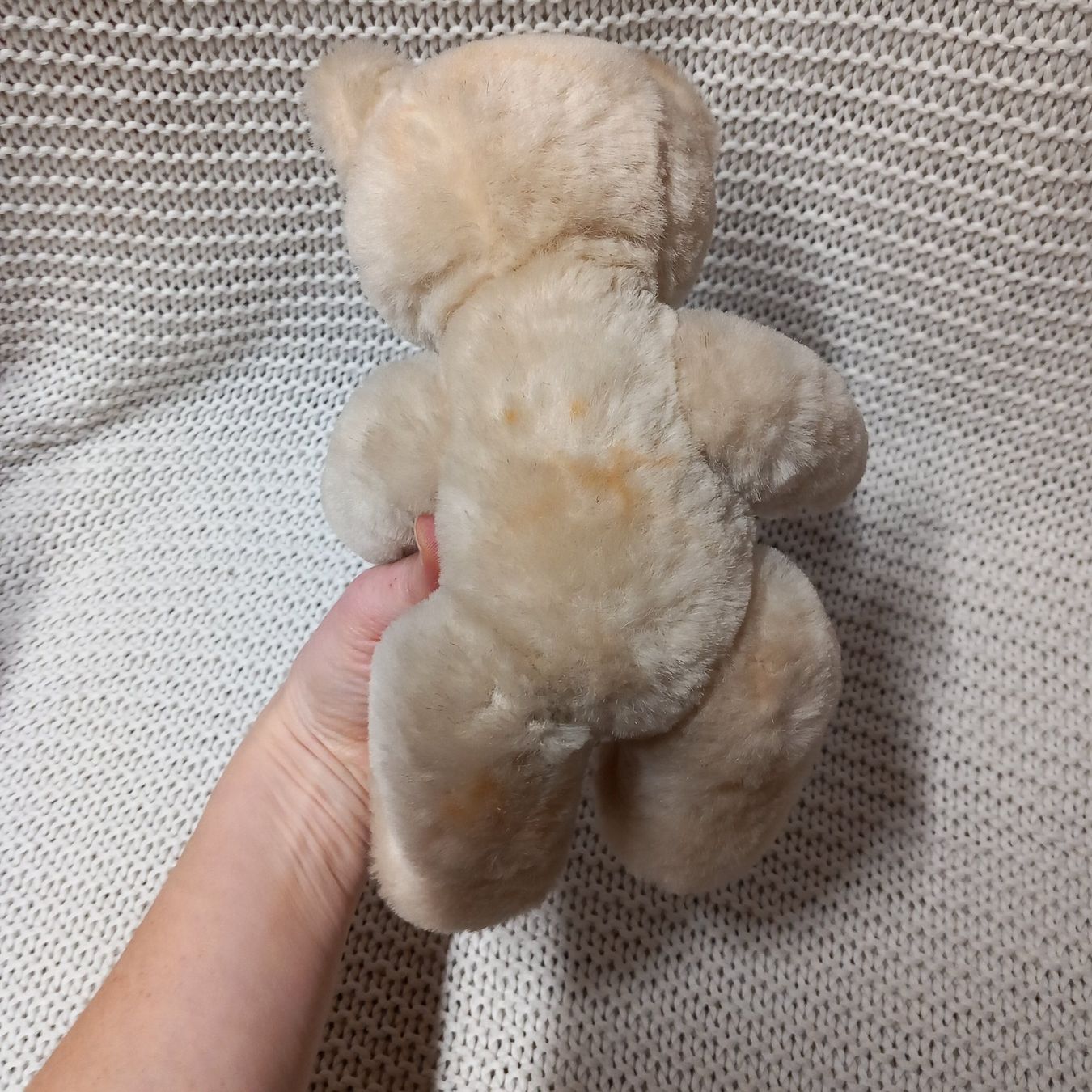 Giocattoli: Antiker Teddybär – Usato da Gwatt (Thun) venduto da umwelt-brocki 1