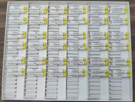 Keymer Testkasten "Mondphasen" für Bioresonanz / EAV