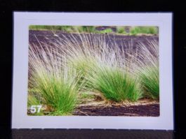MIGROS MANIA Nature Detectives Nr. 57