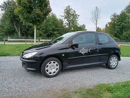 Peugeot 206 1,4i Youngtimer