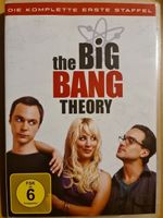 The Big Bang Theory Staffel 1