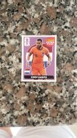 Panini Extra Sticker Cody Gakpo