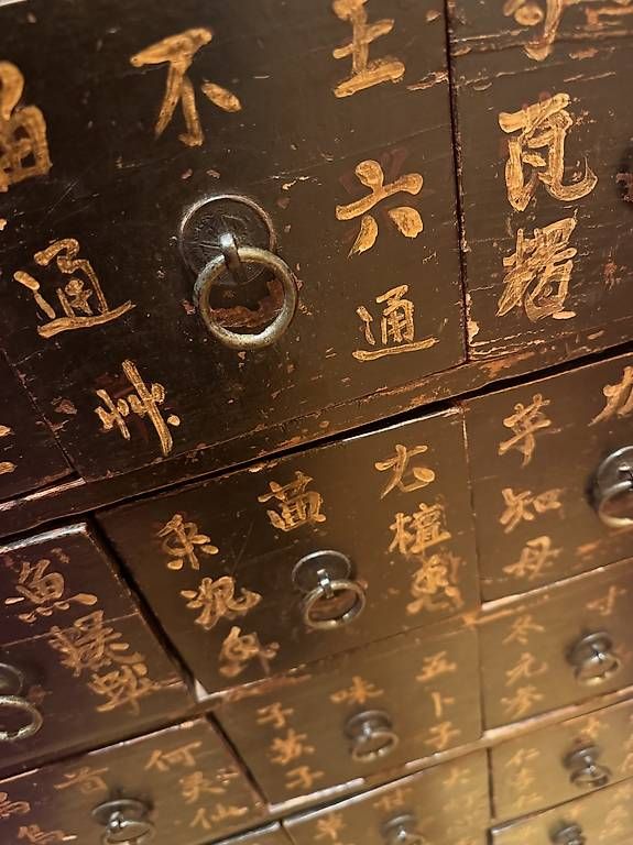 Armadi: Echter Chinesischer Medizinschrank – Usato da Richterswil venduto da lschobinger 1