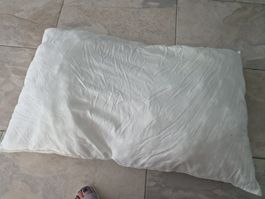Kopfkissen Ikea 65x100, kaum in Gebrauch 