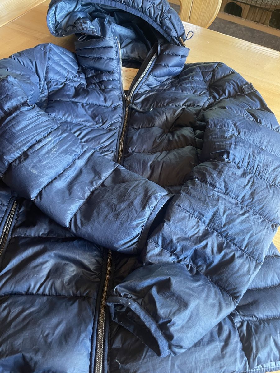 Vestes: Esprit Daunenjacke Grösse M  – D'occasion à Wattwil par Weinachtsmann
