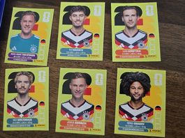 NEU Panini Karten 2026