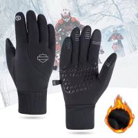 Gants thermiques d'hiver unisexes, taille XL -J210