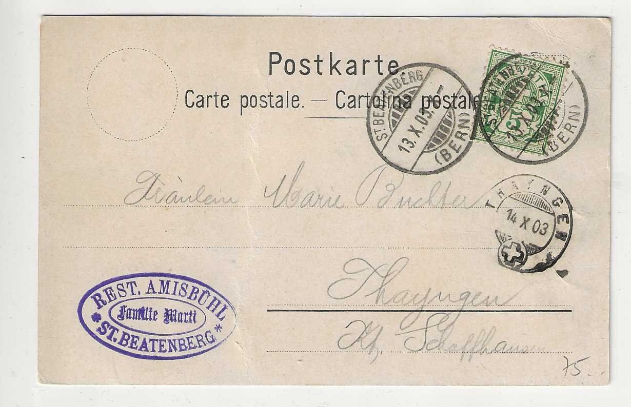Cartoline postali: Beatenberg, Amisbühl, Litho, 1903 – Usato da Spiez venduto da Niesen20 1