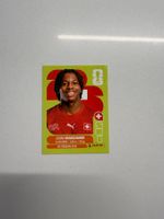 Panini Sticker WM 2026 - SUI 15, Johan Manzambi