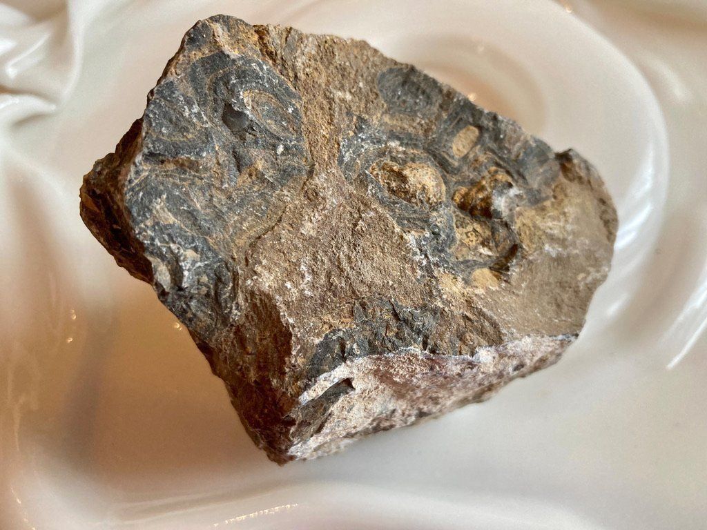 Pietre preziose: Stromatolith roh Heilstein – Nuovo (secondo la descrizione) da Biberist venduto da Steine 1