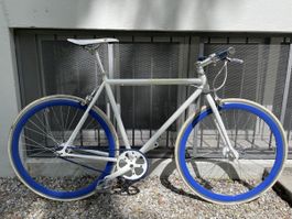 Stilvolles Fixie (Rahmen 54.5 cm)