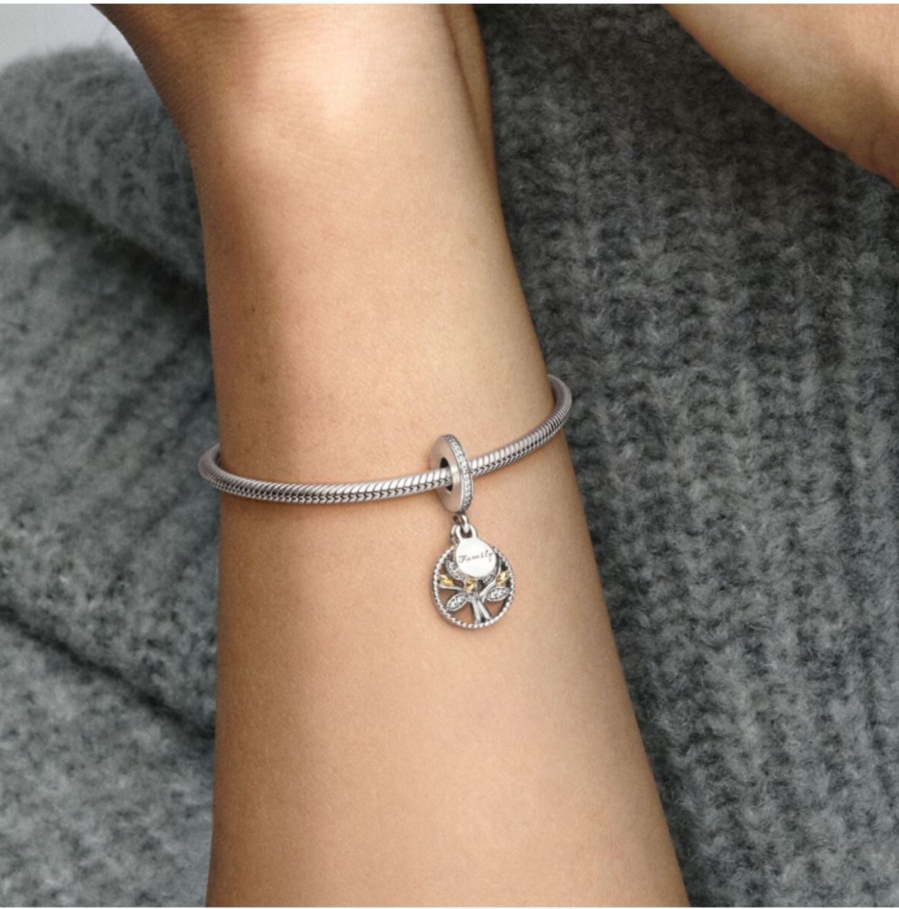 Ciondoli: Charm "Family" zu Pandora 925 Silber – Nuovo (secondo la descrizione) da Niederbüren venduto da Fidi5 3