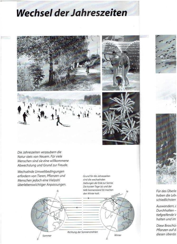 Libri: Winterspeck und Pelzmantel – Usato da Flims - Dorf venduto da Stagediver 2