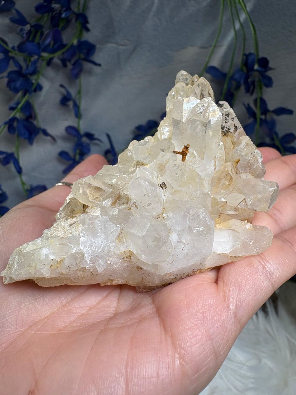 Minerali & Pietre curative: Laotischer Clear Quartz Cluster – Nuovo (secondo la descrizione) da Neuheim venduto da m.hald 8