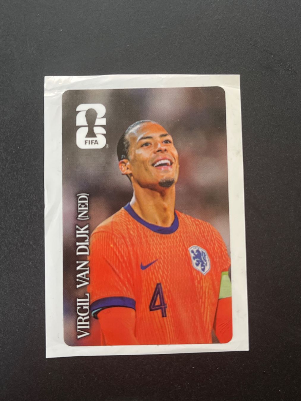 Panini Carte collezionabili: Panini VIRGIL VAN DIJK (NED) – Nuovo (secondo la descrizione) da Susten venduto da Rechnun