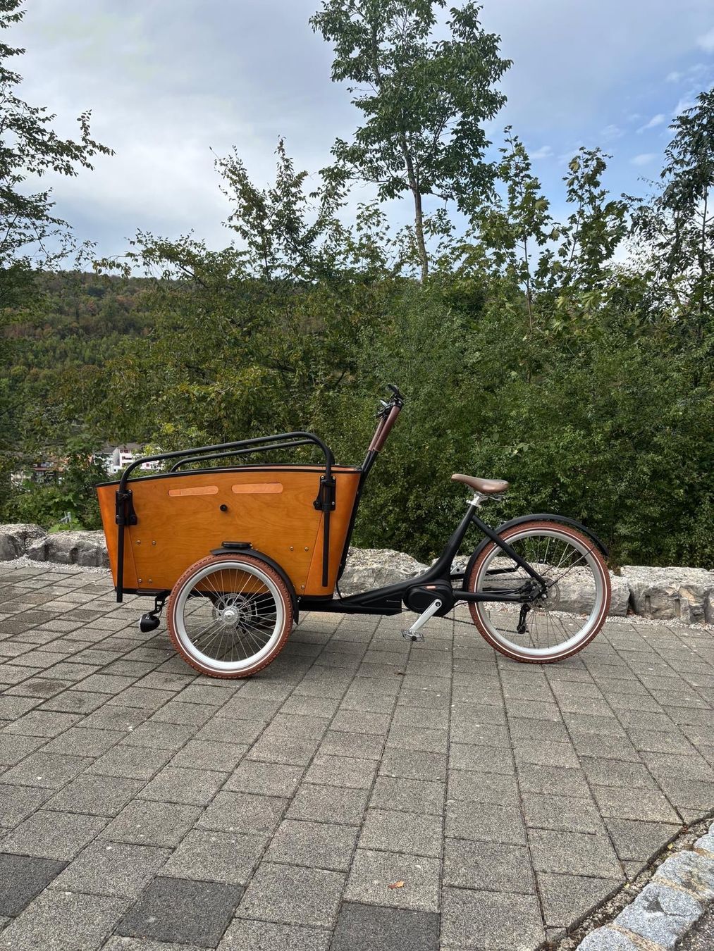 Ego Movement Biciclette: Cargobike EGO Movement Big Lebowski – Nuovo (secondo la descrizione) da Rupperswil venduto da Abcsale 5