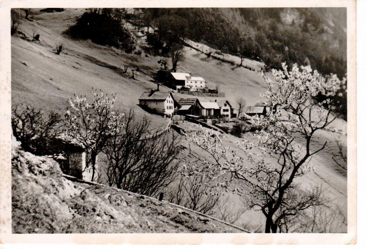 Cartoline postali: Guscha ob Maienfeld 1943 – Usato da Wolhusen venduto da Curver9