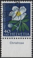 40 Rp. Christrose mit TAB (deutsch)