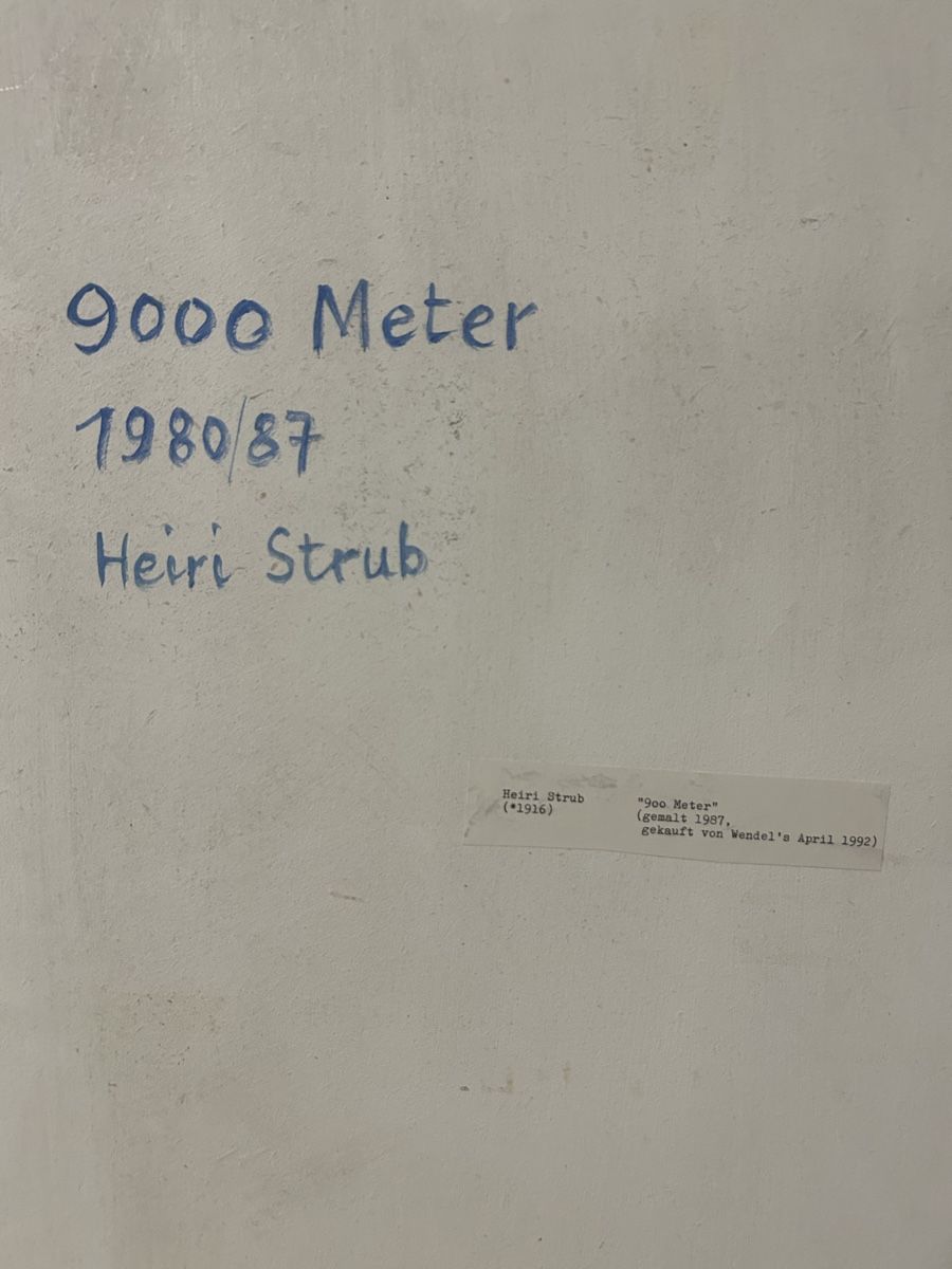 Dipinti: Heiri Strub Gemälde - 9000 Meter – Usato da Oftringen venduto da Michaels011 2