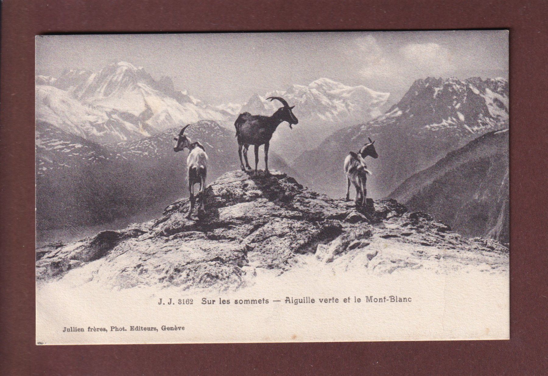 Cartoline postali: VALAIS - Sur les sommets - CHEVRES – Usato da Pully venduto da nicecards
