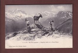 VALAIS - Sur les sommets - CHEVRES