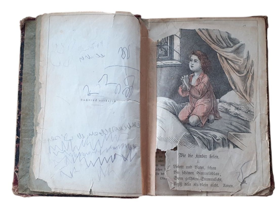 Libri: J. Staub Kinderbuch 1880 – Usato da Mörschwil venduto da lindaswunderkiste 1