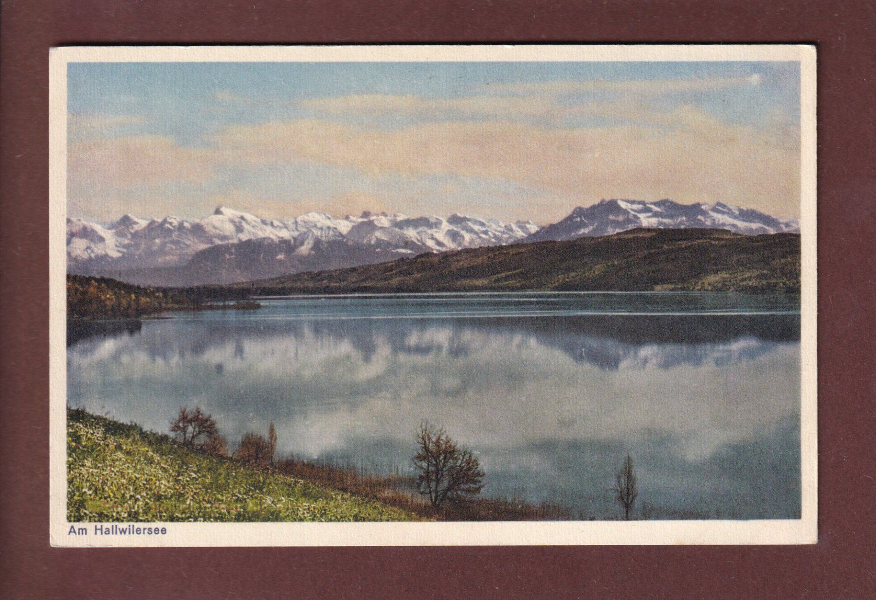 Cartoline postali: Am HALLWILERSEE – Usato da Pully venduto da nicecards