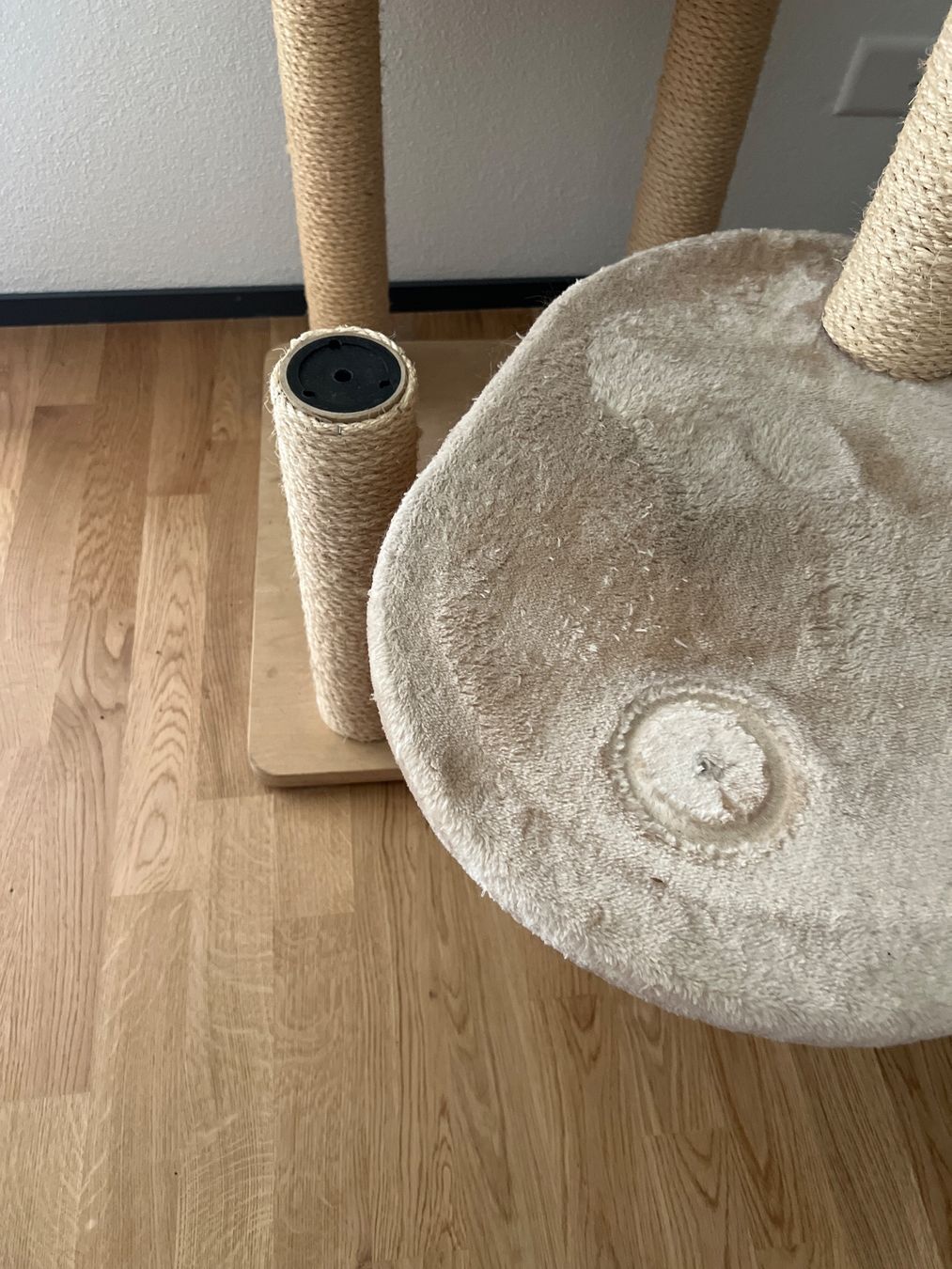 Katzenbaum - Kratzbaum: Kratzbaum Katze gross – Gebraucht aus Uster von Av_rtw6 1