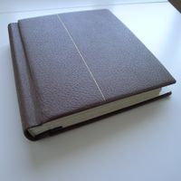 UPU 1900 grosse Plattierungs-Sammlung