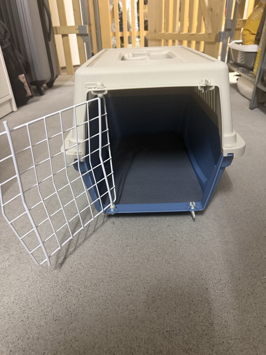 Altro in Decorazioni & Accessori: Katzentransportkasten – Usato da Zürich venduto da Joao-Neves