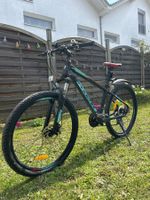 Gut erhaltenes Mountainbike Phoenix - Top Zustand!