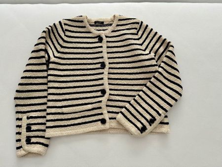 Massimo Dutti cardigan